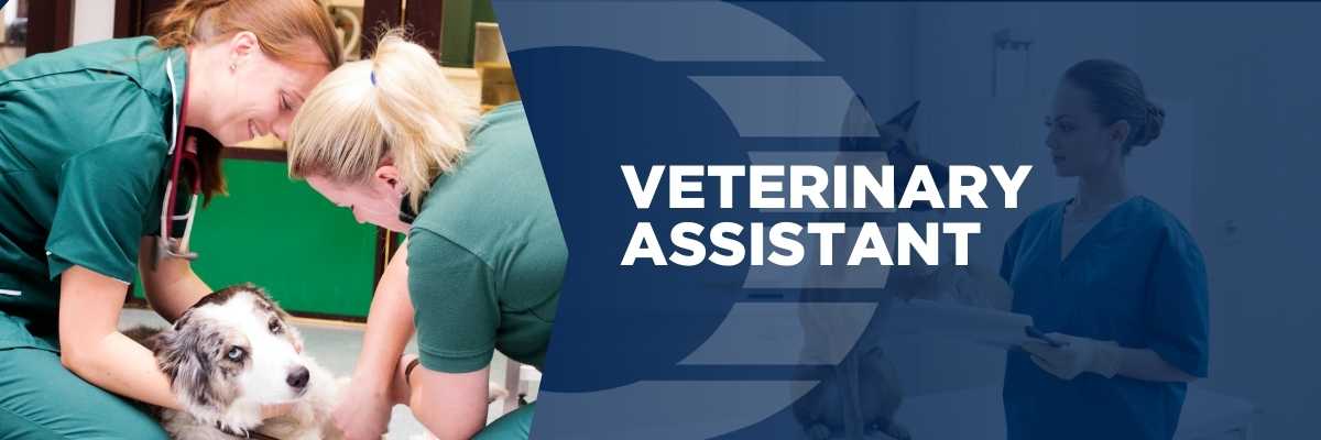 Oulton-College- Veterinary Assistant Website Bannner