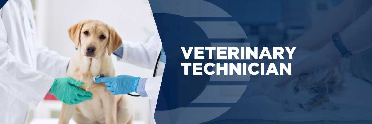 Oulton-College- Veterinary Technician Website Bannner