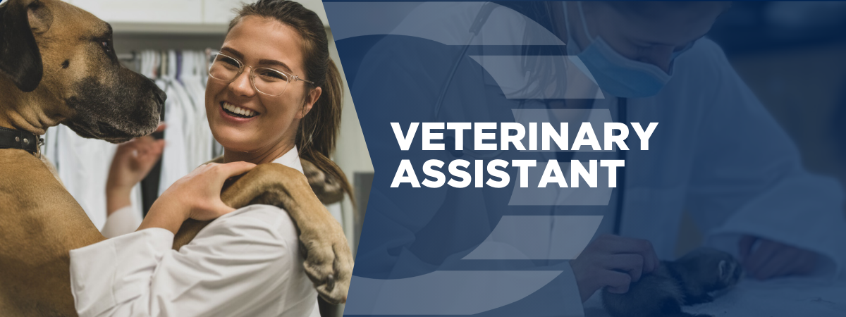 Oulton College Veterinary Assistant student smiling brightly with a Great Dane standing with its paws on her shoulders, while another student examines a ferret.