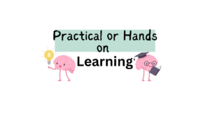 An infographic titled " Practical or Hands on Learning