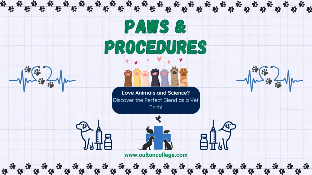 Graphic with the text 'Paws & Procedures' and illustrations of paws, a heartbeat, cat paws, and medical equipment. Vet Tech blog at Oulton College.