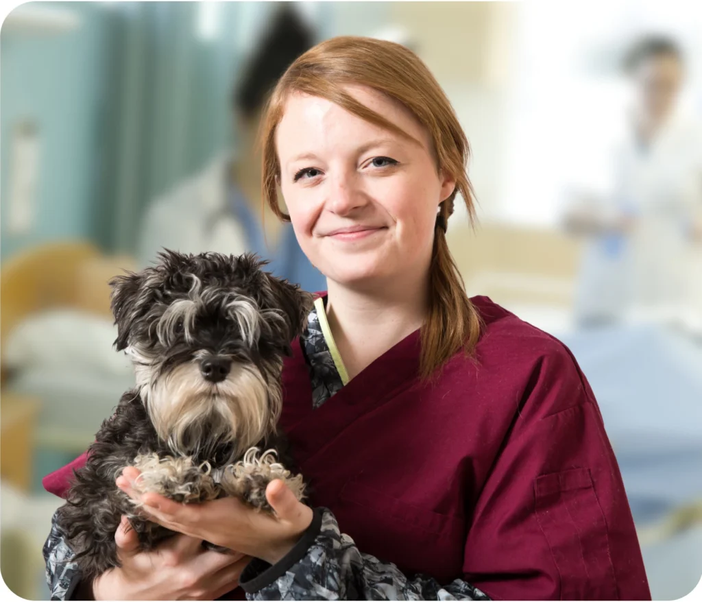 A student in the Veterinary Technician Program At Oulton College.