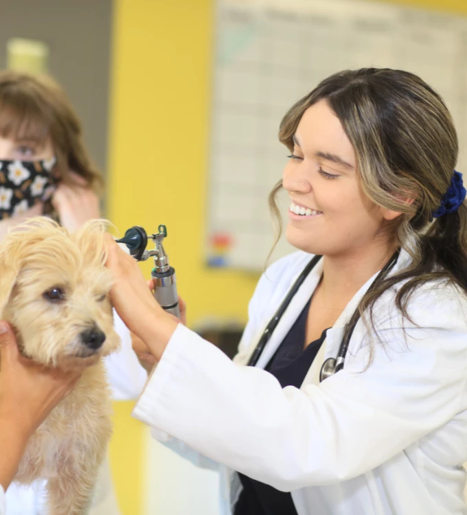 Veterinary Technician Student completing a routine check up at the Oulton Veterinary Clinic. Clinic is onsite at the Flanders Court Campus