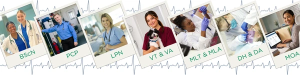 Healthcare programs are showcased, with students from each program shown.